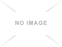 TTDC455310FA.jpg